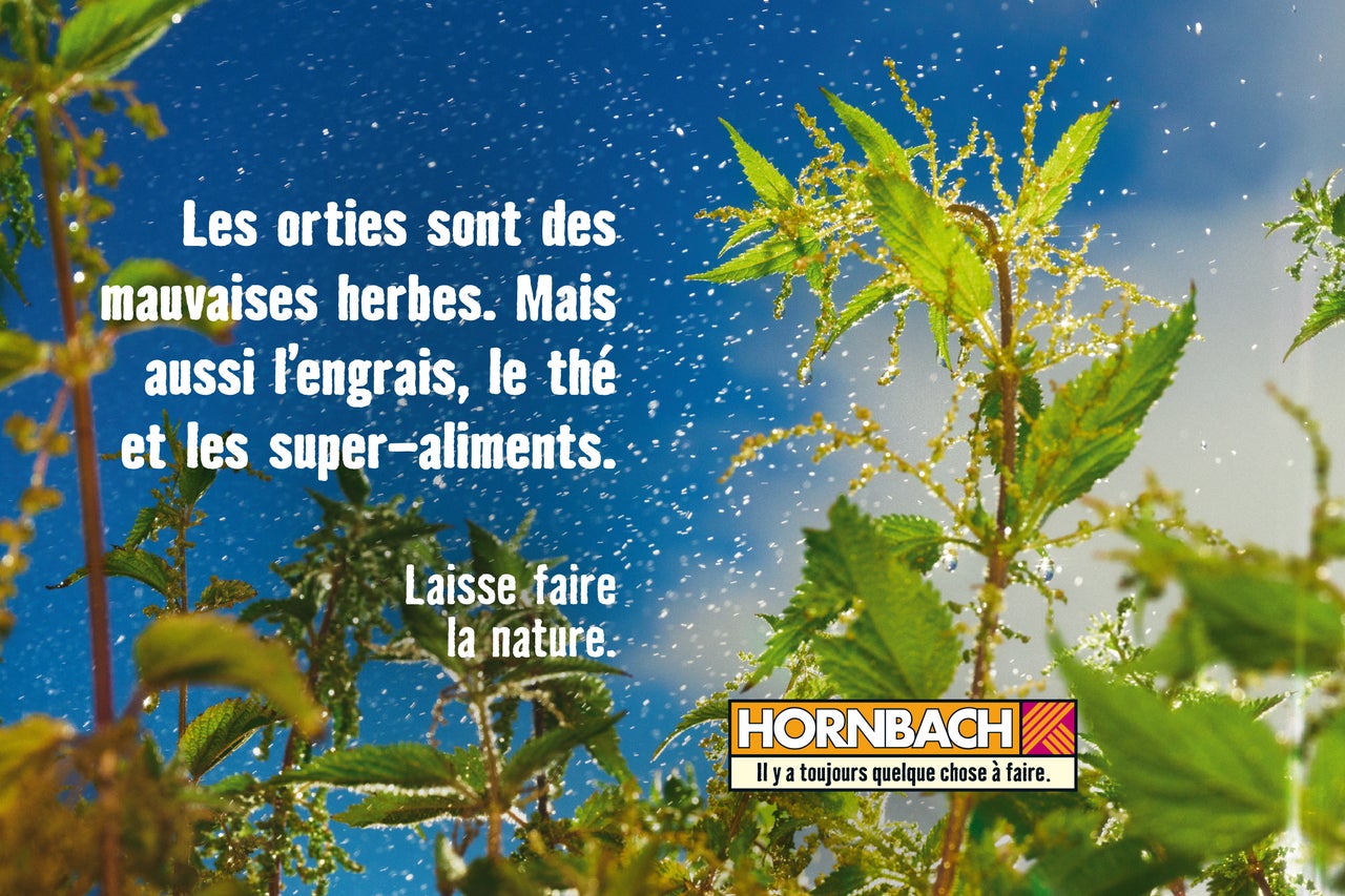 Gros plan d'orties avec texte et logo Hornbach.