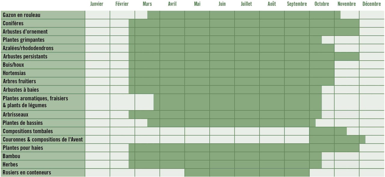 Calendrier de plantation pour différents types de plantes