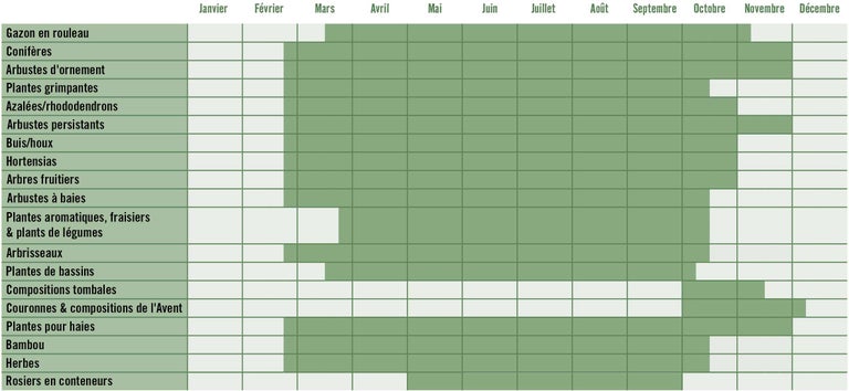 Calendrier de plantation pour différents types de plantes