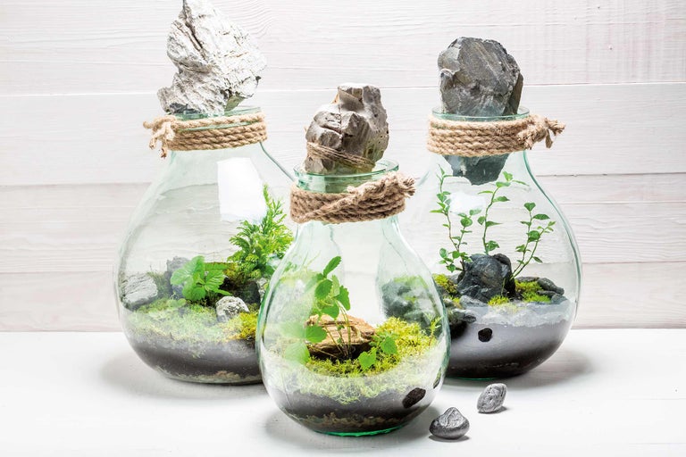 Trois terrariums en bouteille de verre avec des pierres, de la mousse et des plantes, enveloppés de corde de jute.