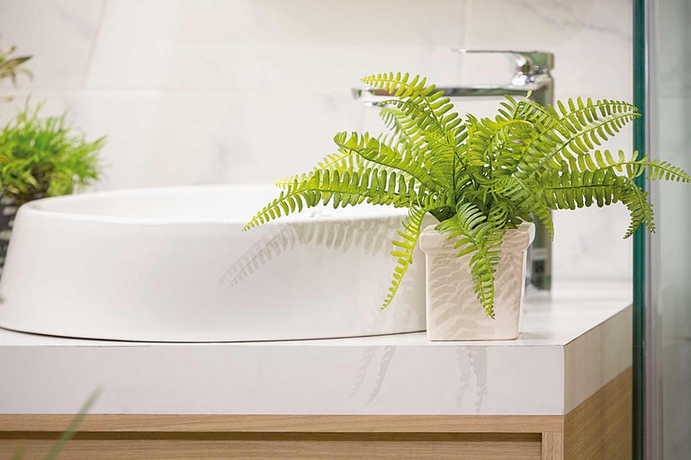 Modernes Badezimmer mit Aufsatzwaschbecken, Armatur und Topfpflanze