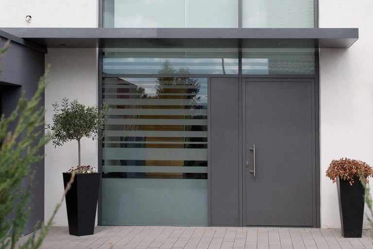 Moderne Haustür mit Seitenteil und Oberlicht, ergänzt durch Pflanzenkübel