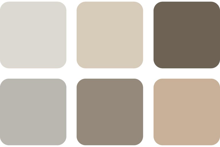 Palette de couleurs avec six nuances