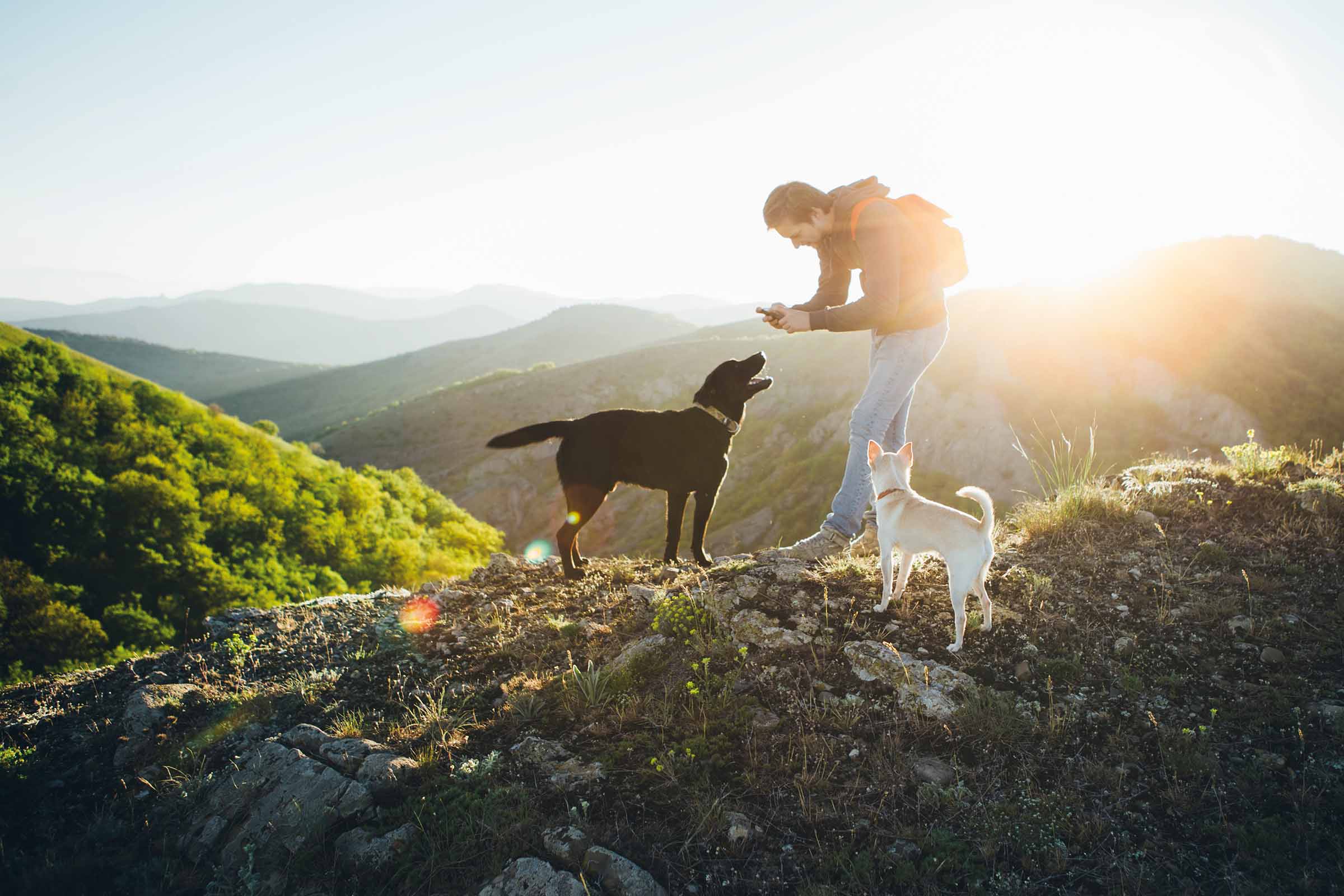 Ein Mann mit Rucksack macht ein Foto von zwei Hunden auf einem Hügel.