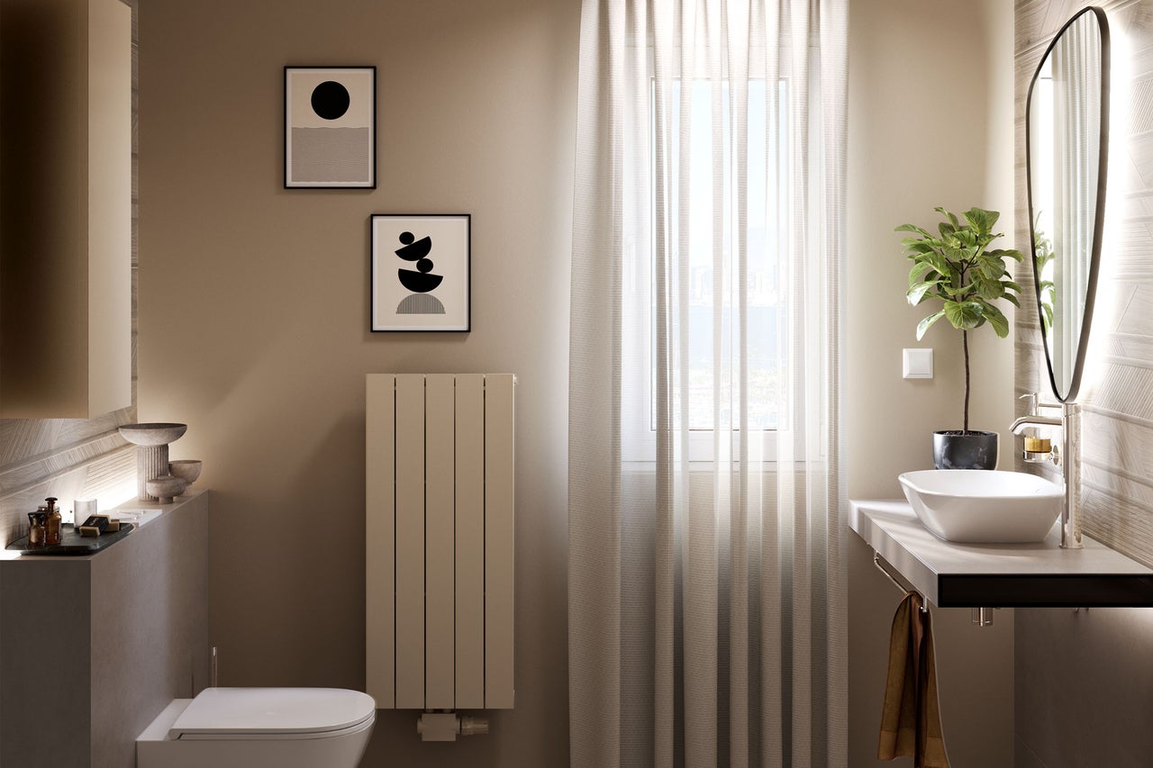 Salle de bains avec toilettes, lavabo, radiateur, miroir et décoration