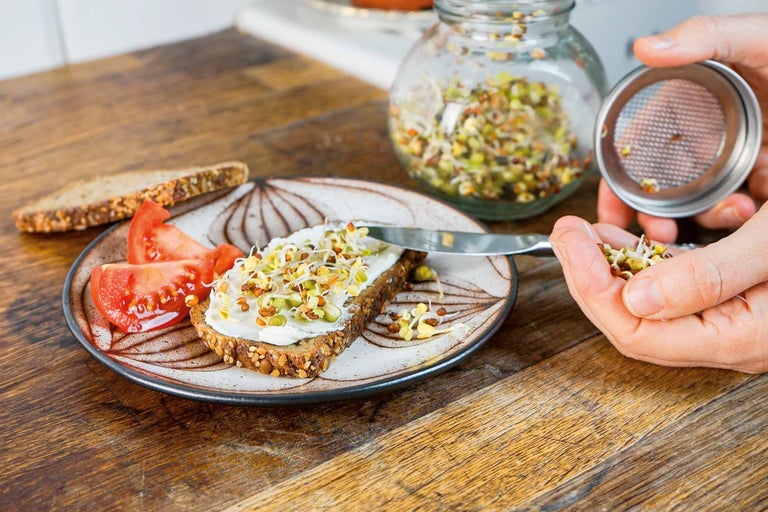 Cultiver des graines germées