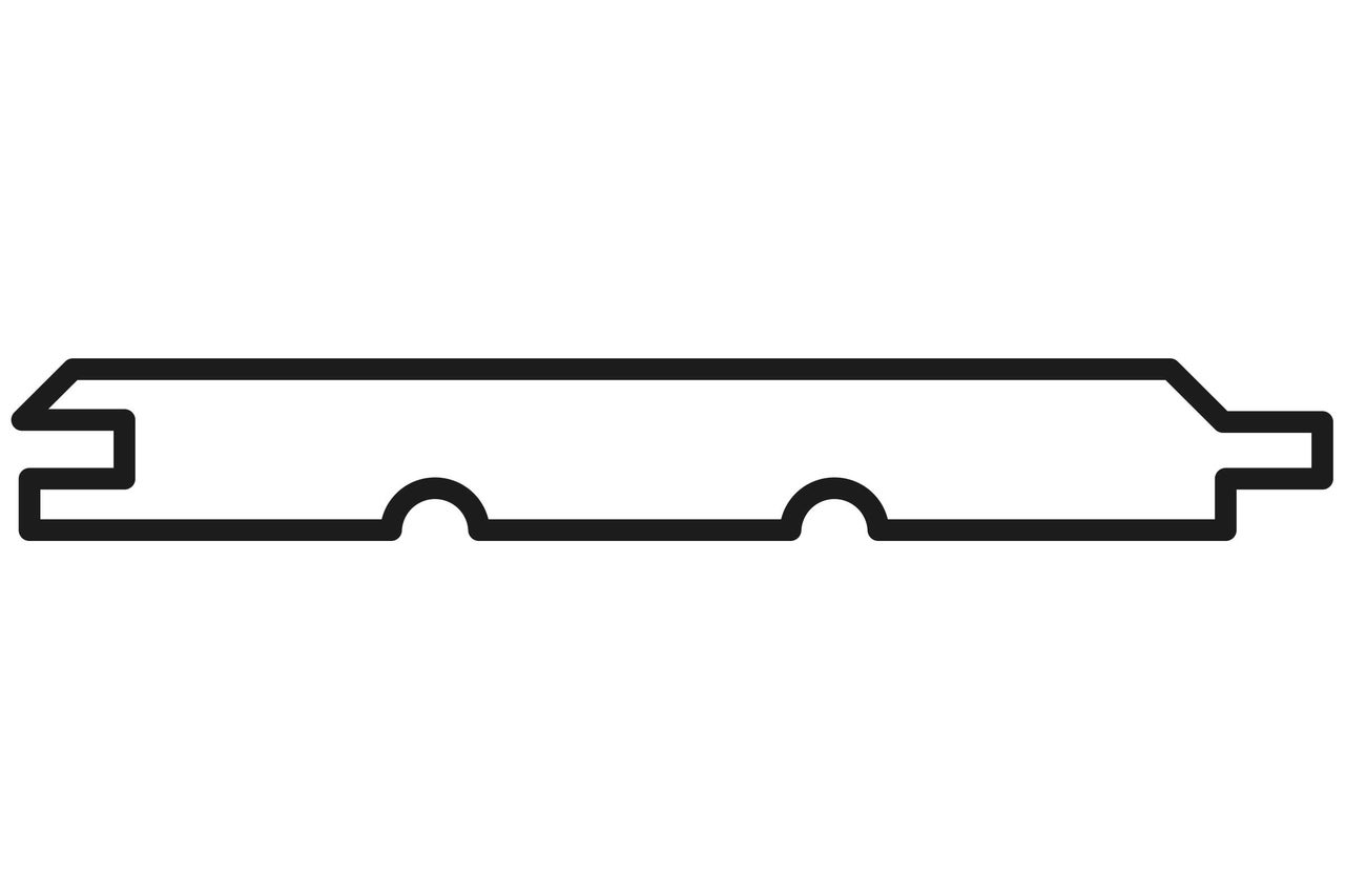 Section transversale du bois profilé