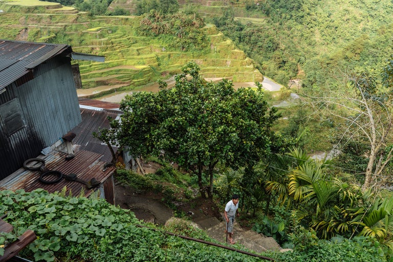 Un homme descend des marches dans un jardin luxuriant, rizières en terrasses à l'arrière-plan