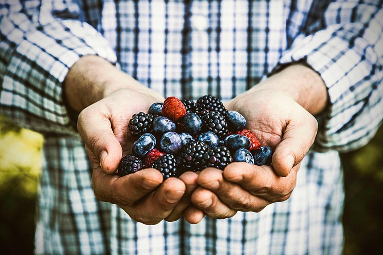 Hände halten eine Mischung aus Brombeeren, Himbeeren und Blaubeeren