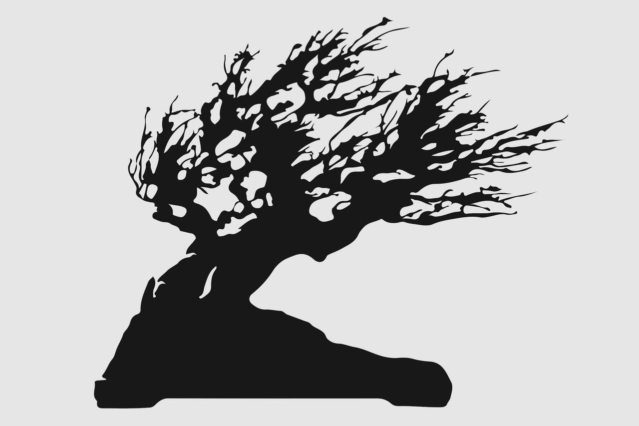 Silhouette d'un bonsaï