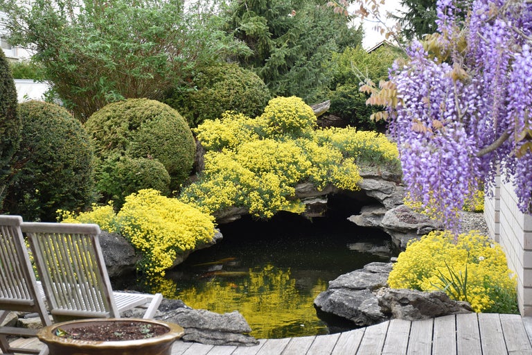 Bassin de jardin avec bordure en pierre, entouré de plantes et de fleurs, avec des sièges