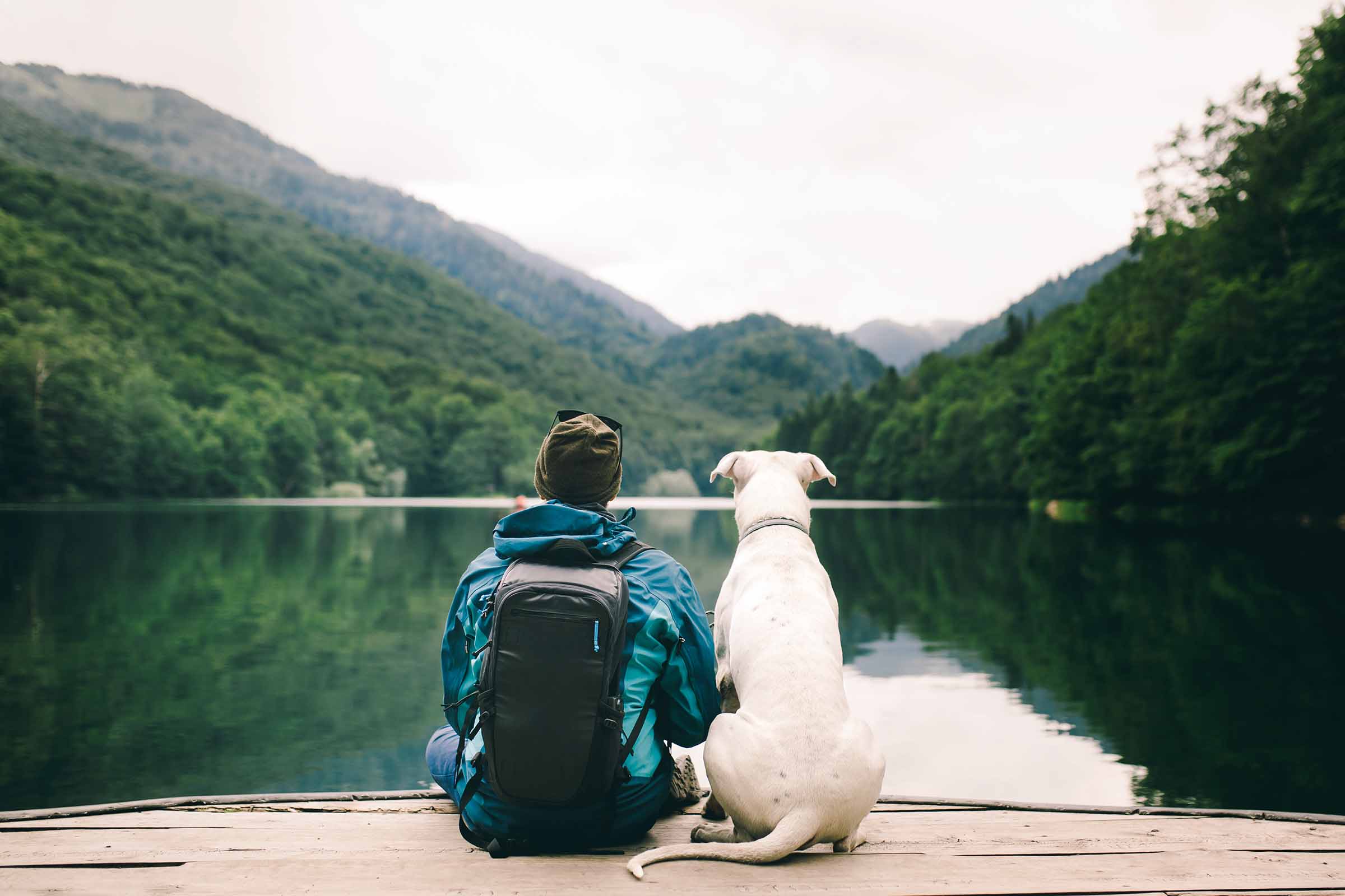 Person mit Rucksack und Hund sitzt am Seeufer