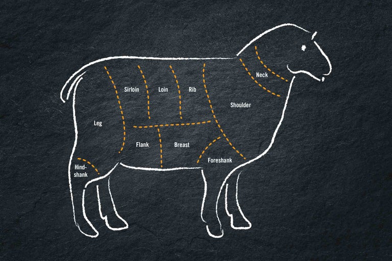 Illustration des pièces d'agneau