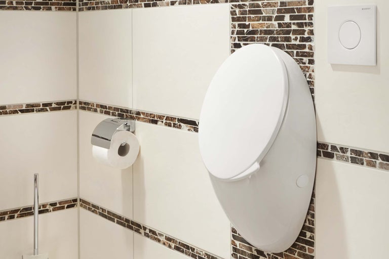 Wand-Tiefspülklosett mit Toilettenpapierhalter und Betätigungsplatte im Badezimmer