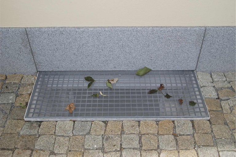 Grille de fenêtre de cave avec des feuilles sur des pavés