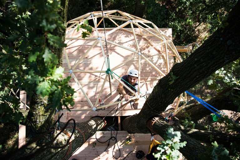 Baumhaus im Bau mit Holzboden und Kuppelstruktur