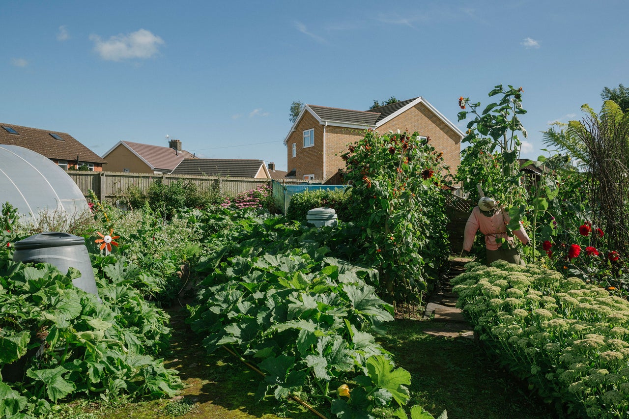 Garten mit Gemüsebeeten, Gewächshaus und Vogelscheuche
