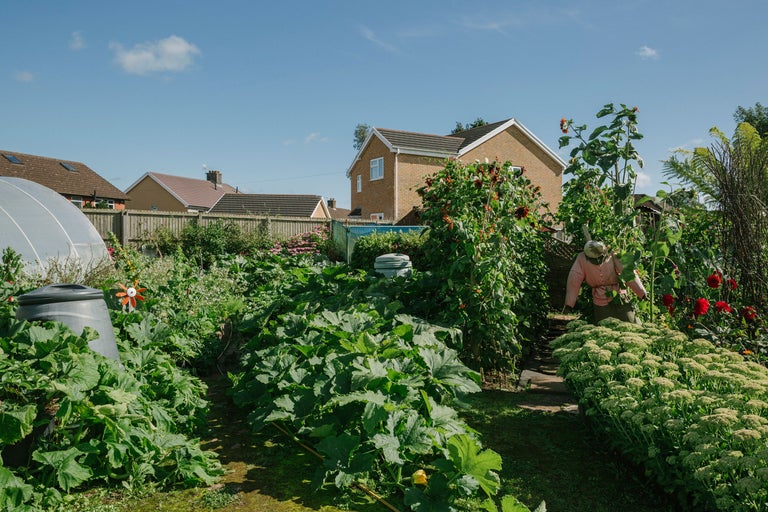 Jardin avec potagers, serre et épouvantail