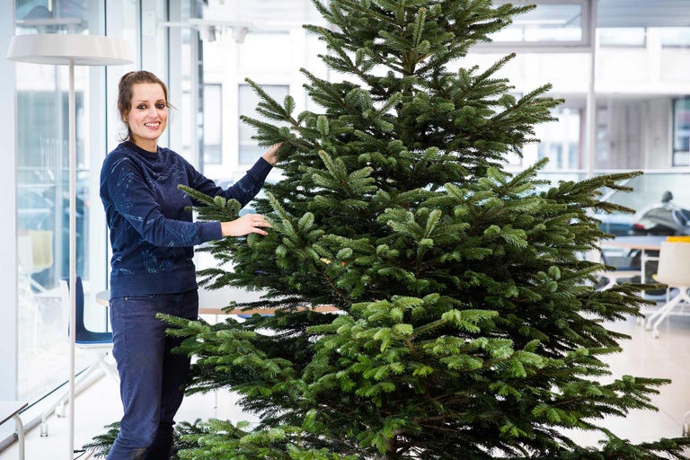 Frau steht neben einem grünen Weihnachtsbaum im Innenbereich