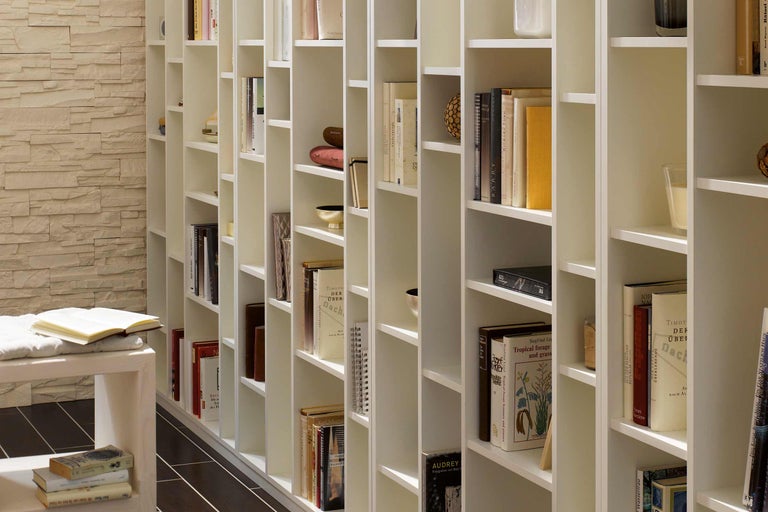 Pièce lumineuse avec bibliothèque et décoration