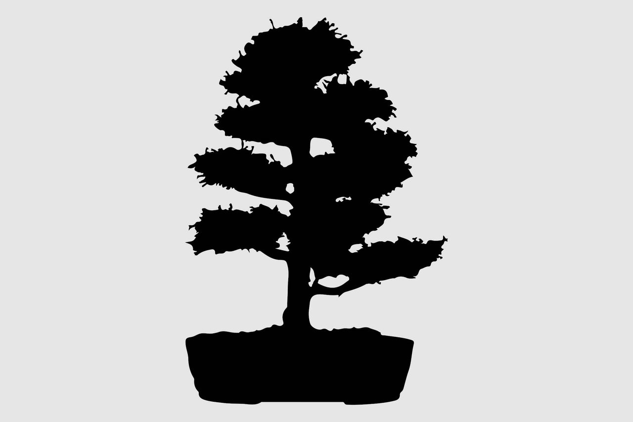 Silhouette d'un bonsaï dans un pot