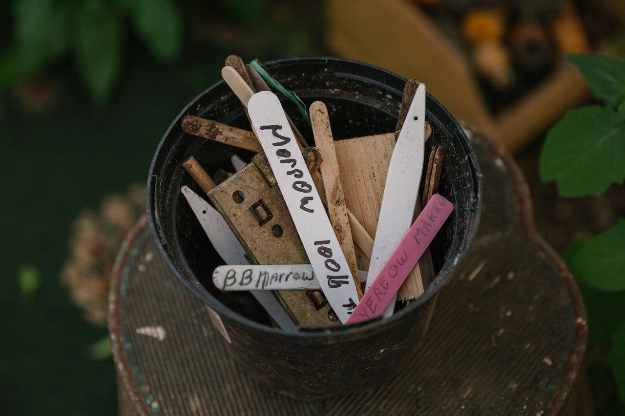 Blumentopf gefüllt mit beschrifteten Pflanzenetiketten aus Holz und Kunststoff