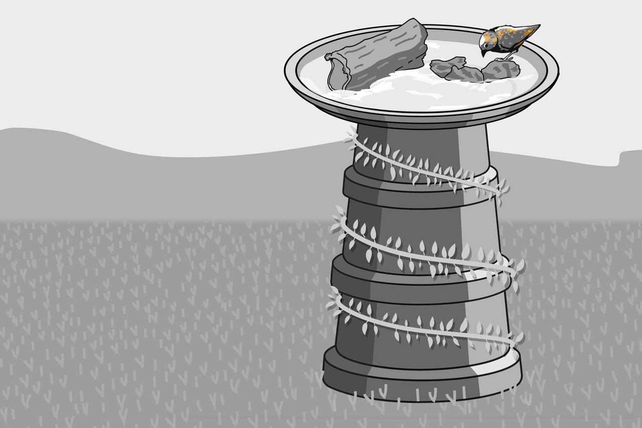 Abreuvoir à oiseaux avec oiseau et décoration végétale dans le jardin