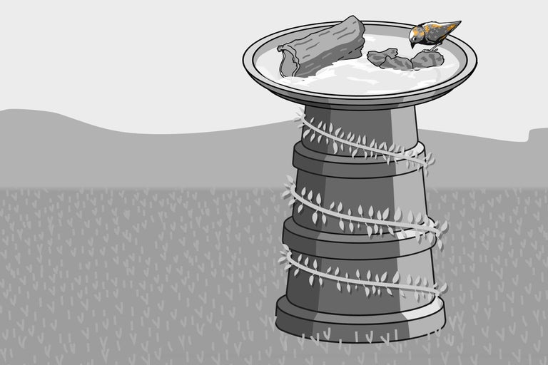 Abreuvoir à oiseaux avec oiseau et décoration végétale dans le jardin