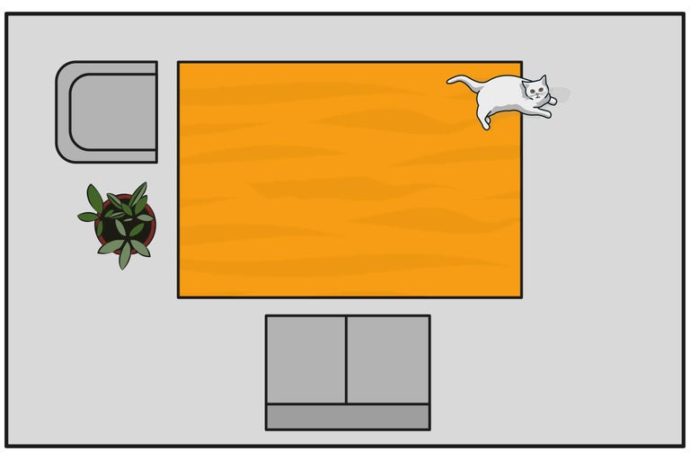 Vue de dessus d'un salon avec tapis, canapé, fauteuil, plante d'intérieur et chat