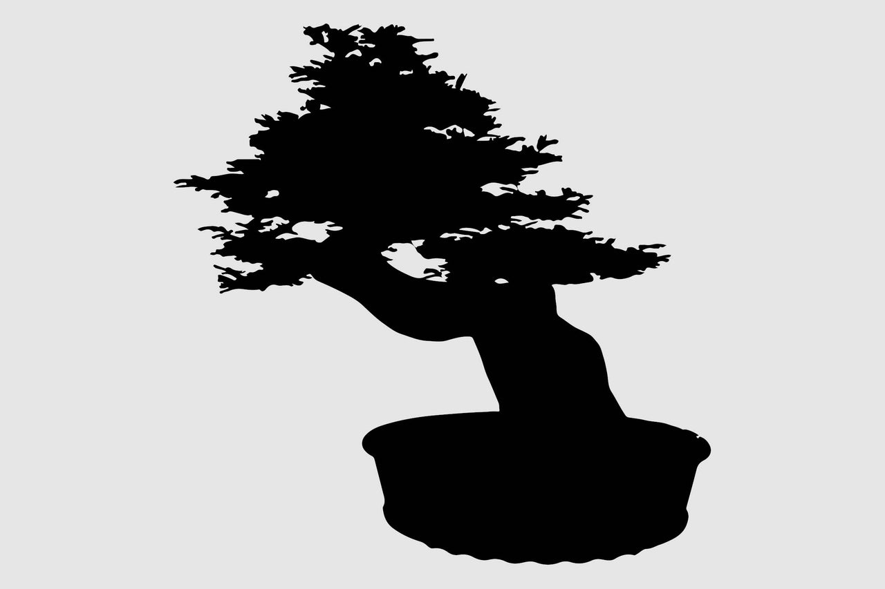 Bonsaï en pot