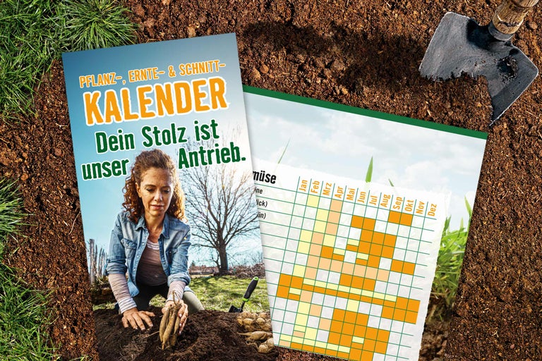 Calendrier de plantation avec instructions pour le semis et la récolte
