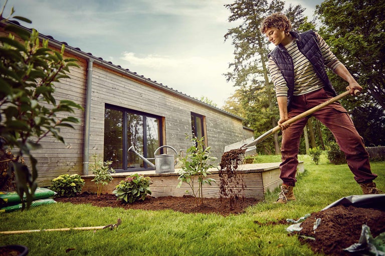 Planter et entretenir des plantes vivaces