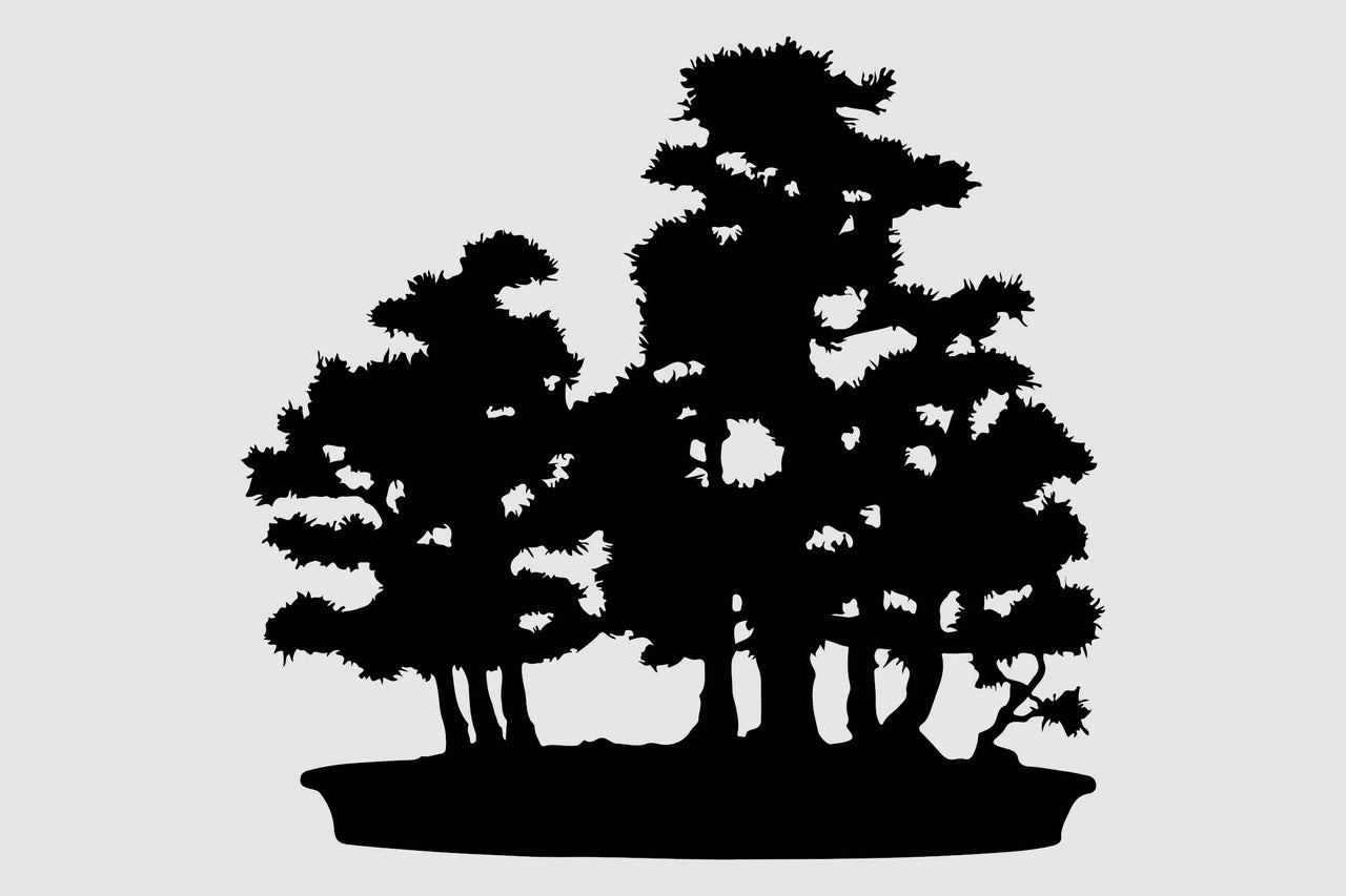 Silhouette d'un groupe de bonsaïs dans un bol