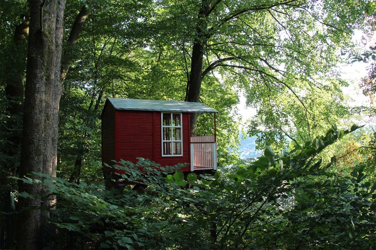 Baumhaus aus Holz mit Fenster und Tür im Wald