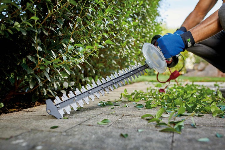 Un taille-haie coupe une haie sur un chemin pavé.
