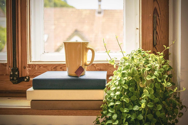 Dekorative Szene mit Tasse Tee, Büchern und Zimmerpflanze am Fenster