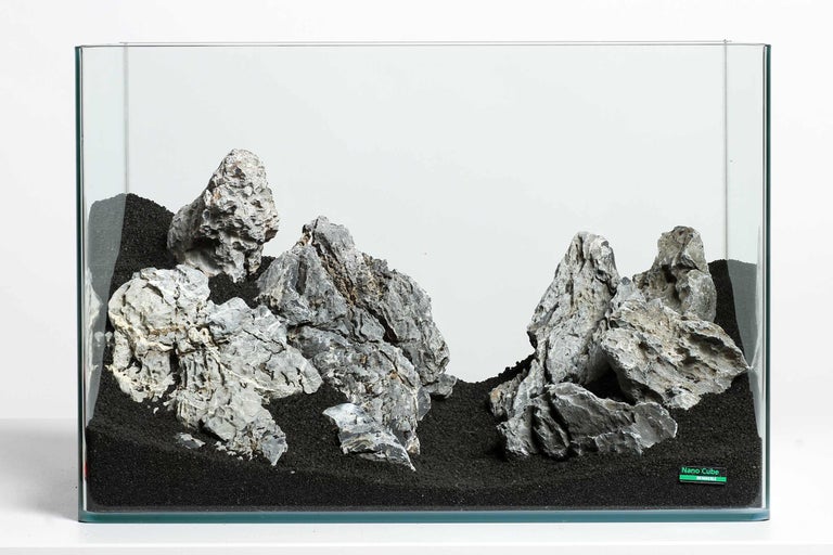 Aquarium avec pierres et substrat