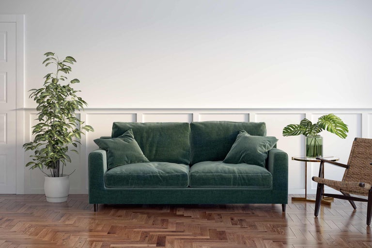 Salon confortable avec un canapé vert, des plantes d'intérieur et un plancher en bois