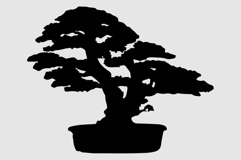 Silhouette eines Bonsai-Baums in einem Topf