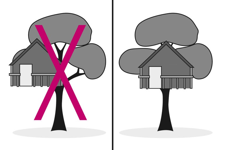Vergleich: Baumhaus nicht sicher versus sicheres Baumhaus