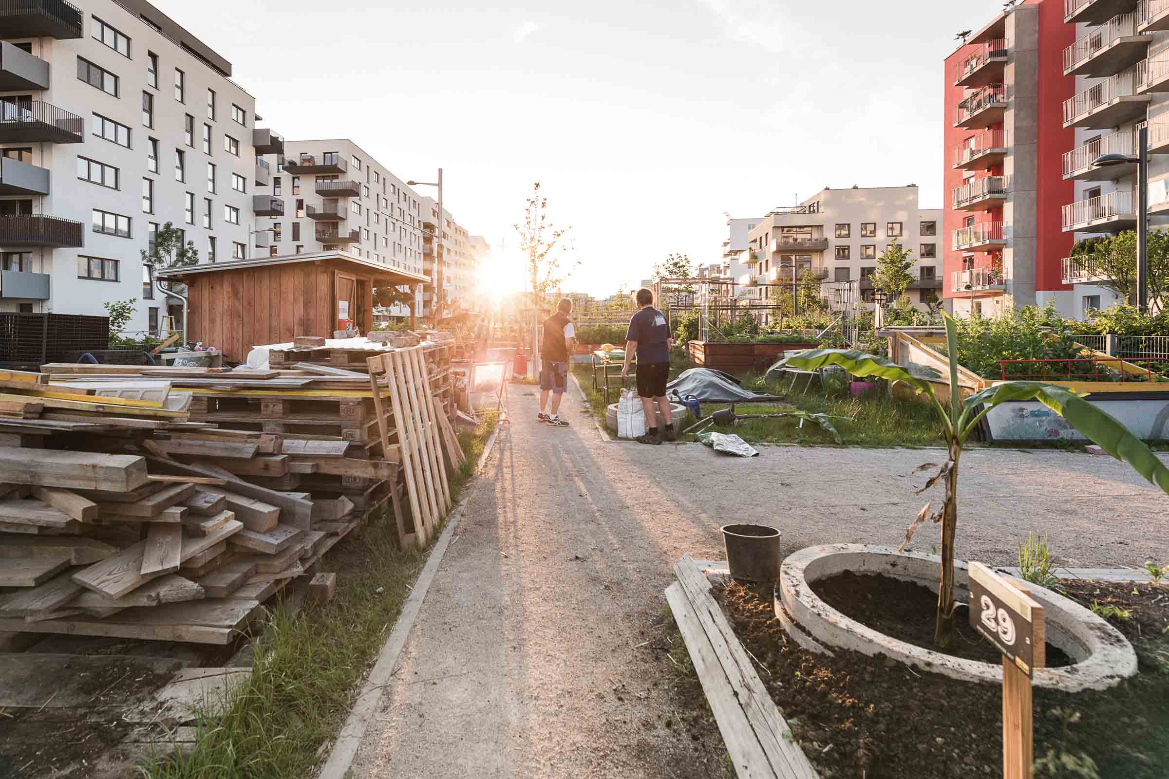 Jardin communautaire avec bois, palettes et plantes devant des immeubles d'habitation