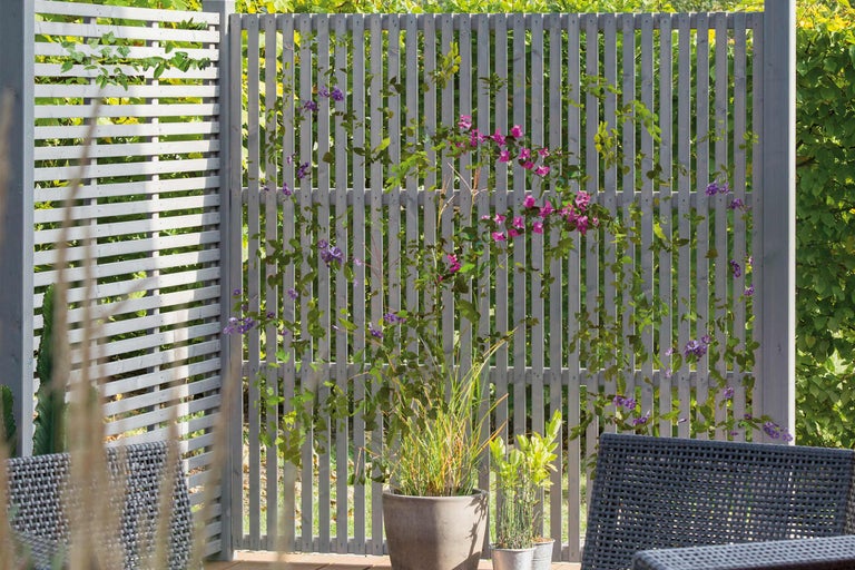 Clôture en bois avec plantes grimpantes et plantes en pot sur une terrasse.