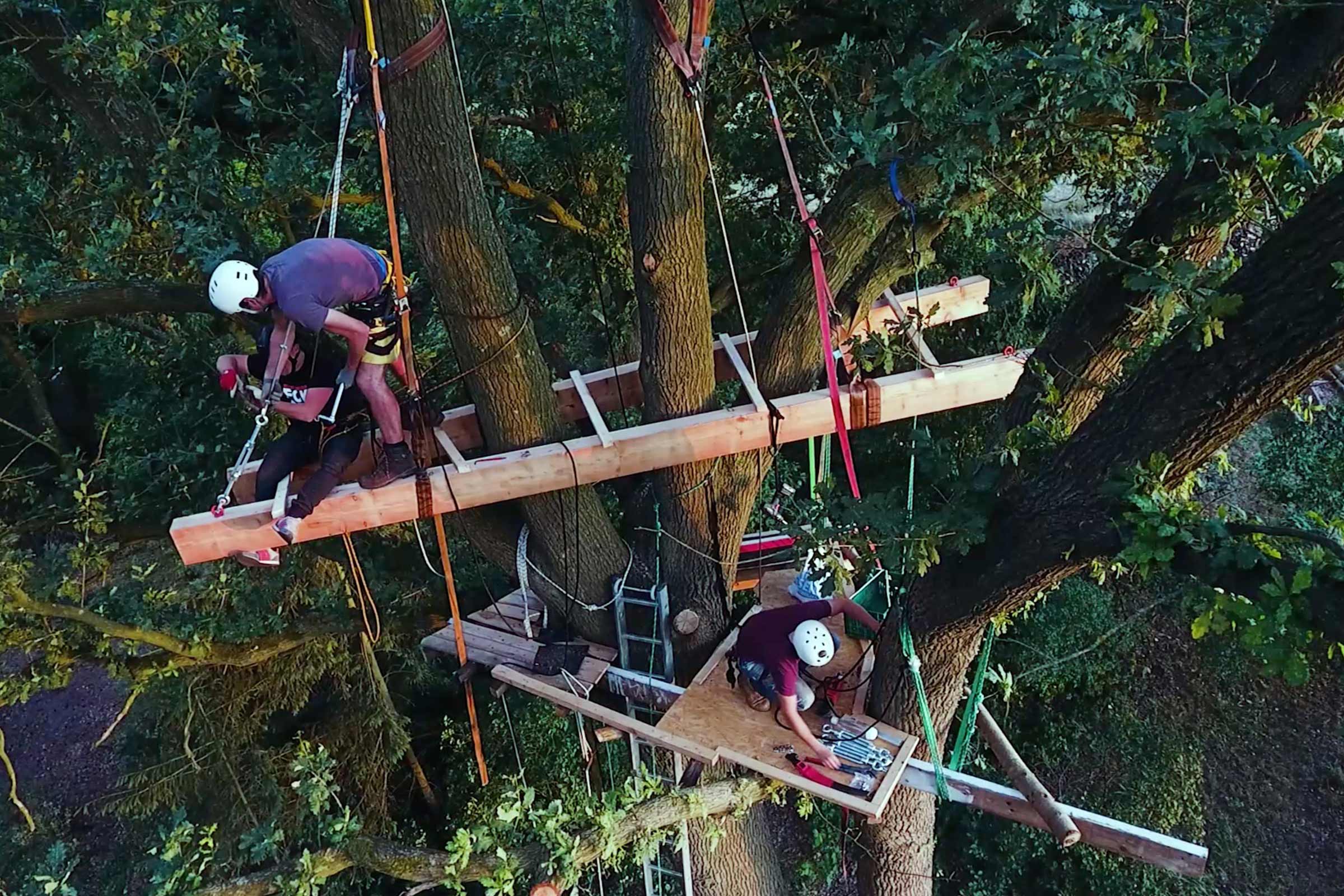 Construction d'une cabane dans les arbres avec des artisans dans la cime des arbres