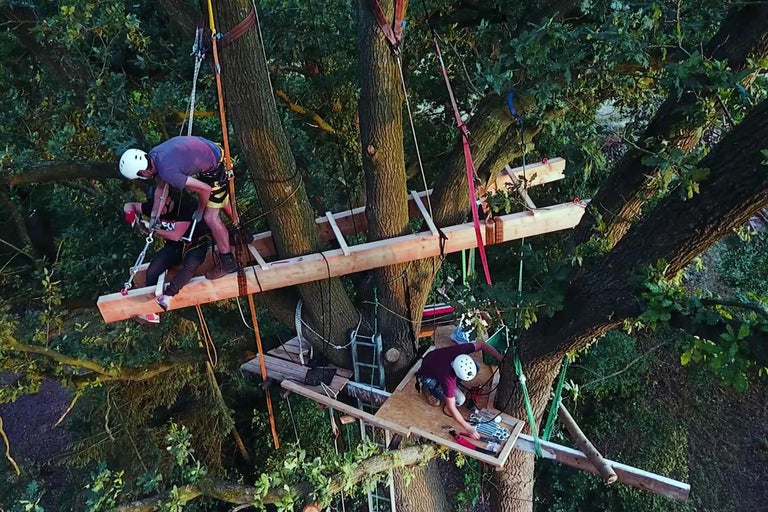 Baumhausbau mit Handwerkern in der Baumkrone