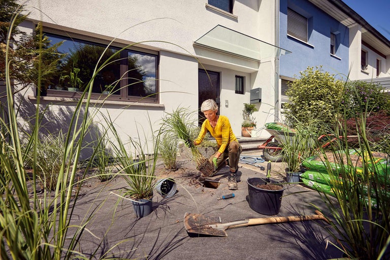 Femme plante des graminées ornementales dans le jardin avec des outils de jardinage et un film de paillage