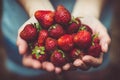 Une poignée de fraises fraîches Une poignée de fraises fraîches