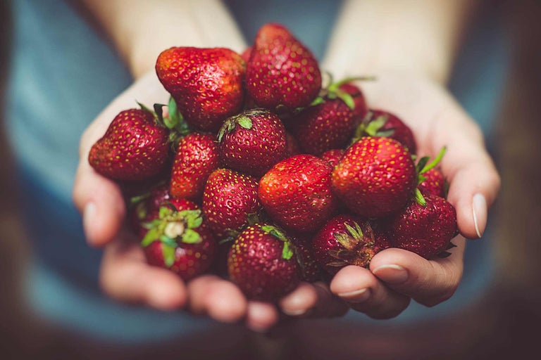 Une poignée de fraises fraîches