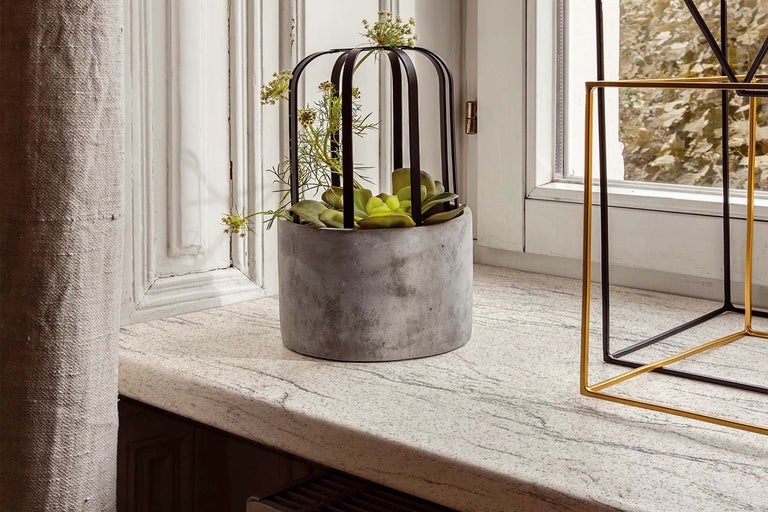 Dekorative Pflanzenanordnung in Beton Blumentopf mit Käfig