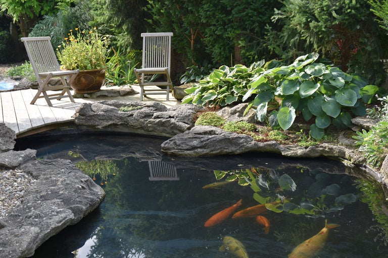 Bassin de jardin avec poissons, pierres, plantes et chaises en bois