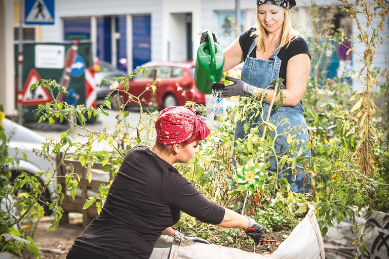 Deux femmes travaillent dans un jardin urbain avec des plates-bandes surélevées, dont l'une arrose avec un arrosoir et l'autre désherbe.
